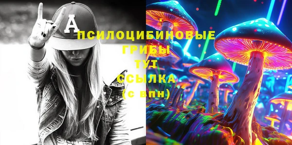 mdpv Алексин