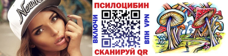 купить цена Нефтеюганск hydra рабочий сайт Галлюциногенные грибы Psilocybe